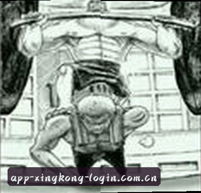 刘洋